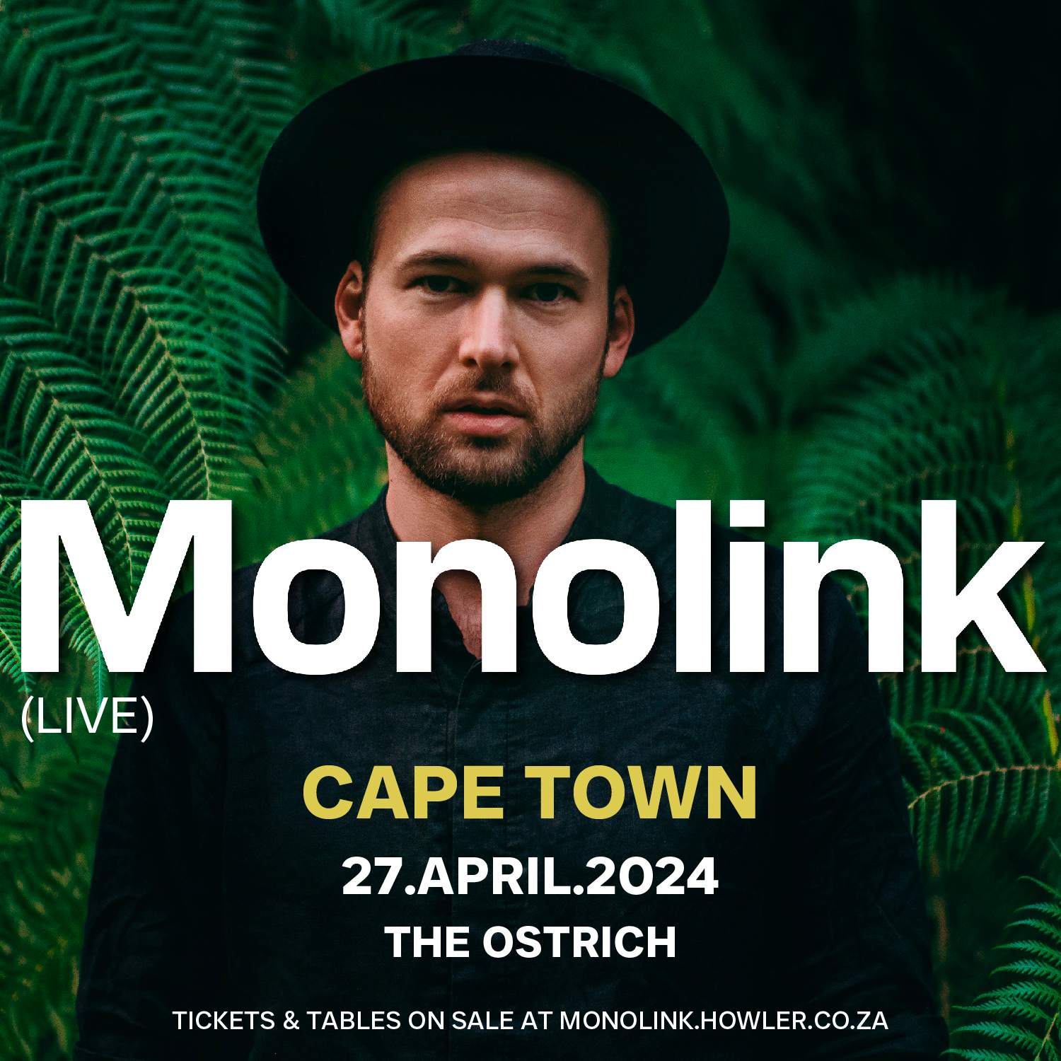 Monolink Cape Town - フライヤー表