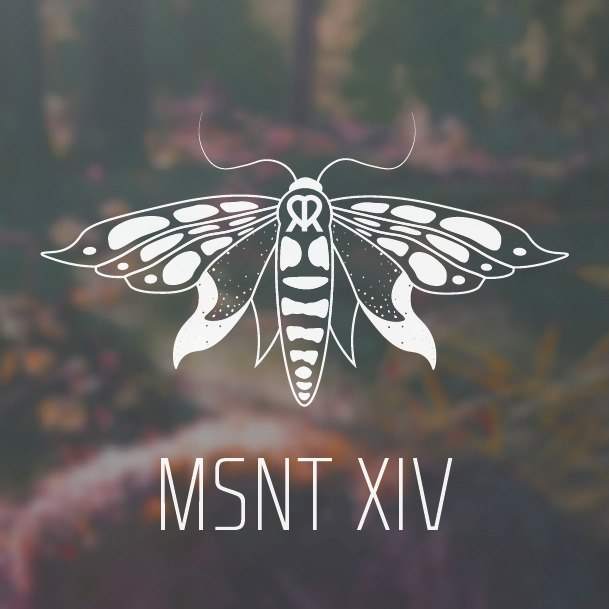 MSNT XIV - フライヤー表