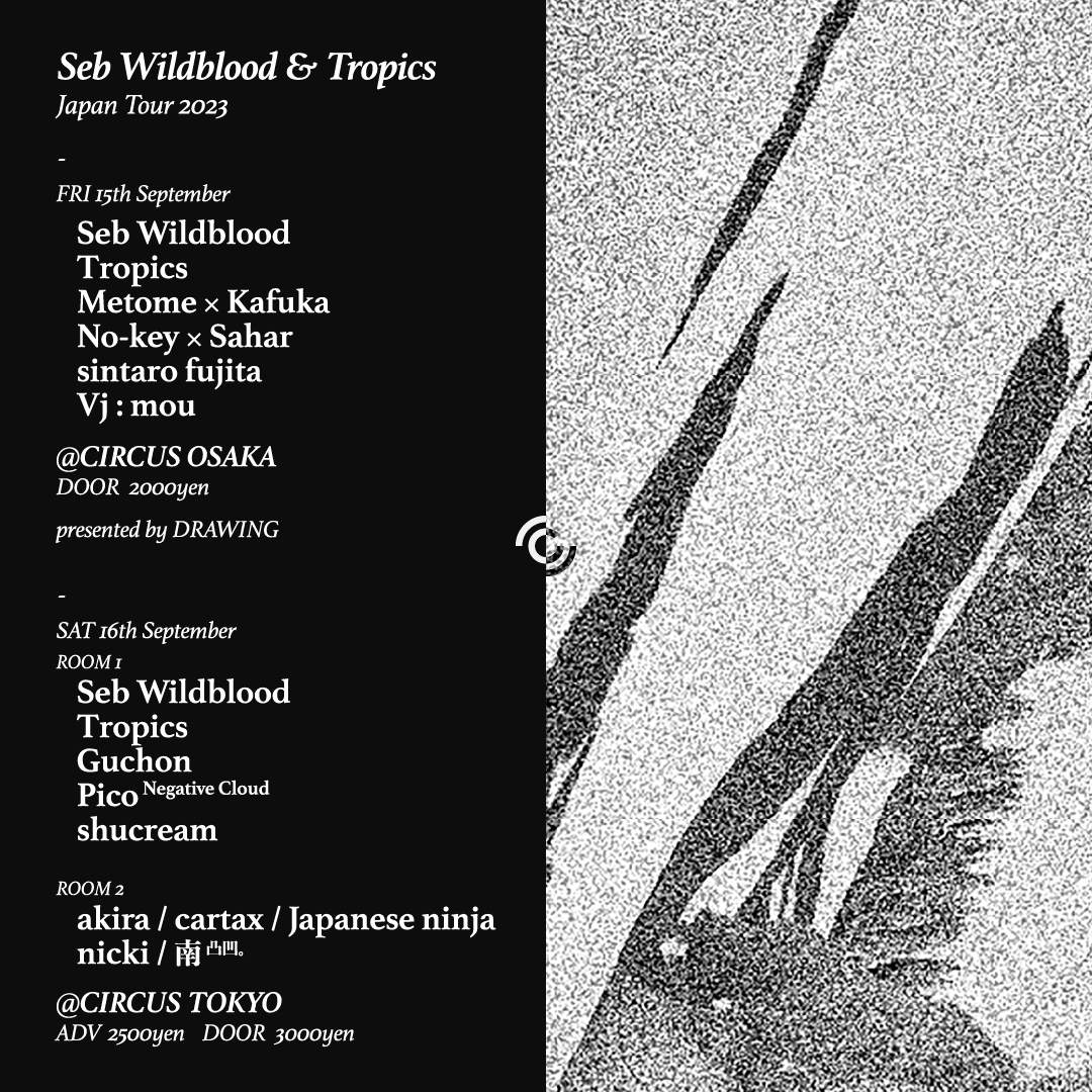 Seb Wildblood & Tropics - フライヤー表