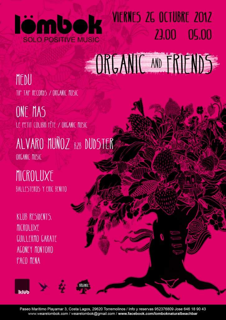 Organic & Friends - フライヤー裏