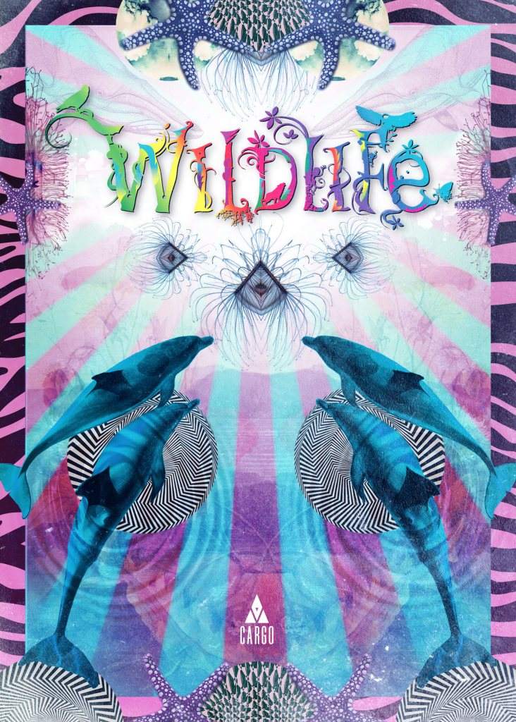 Wildlife - フライヤー表