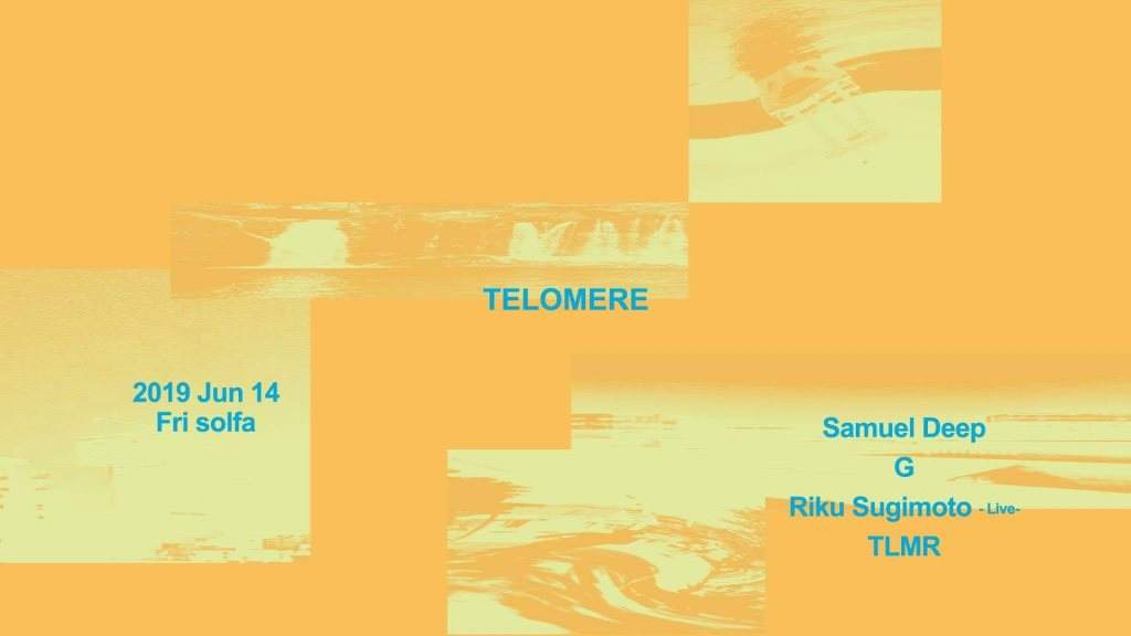 Telomere Feat. Samuel Deep (Slapfunk Records) - フライヤー表