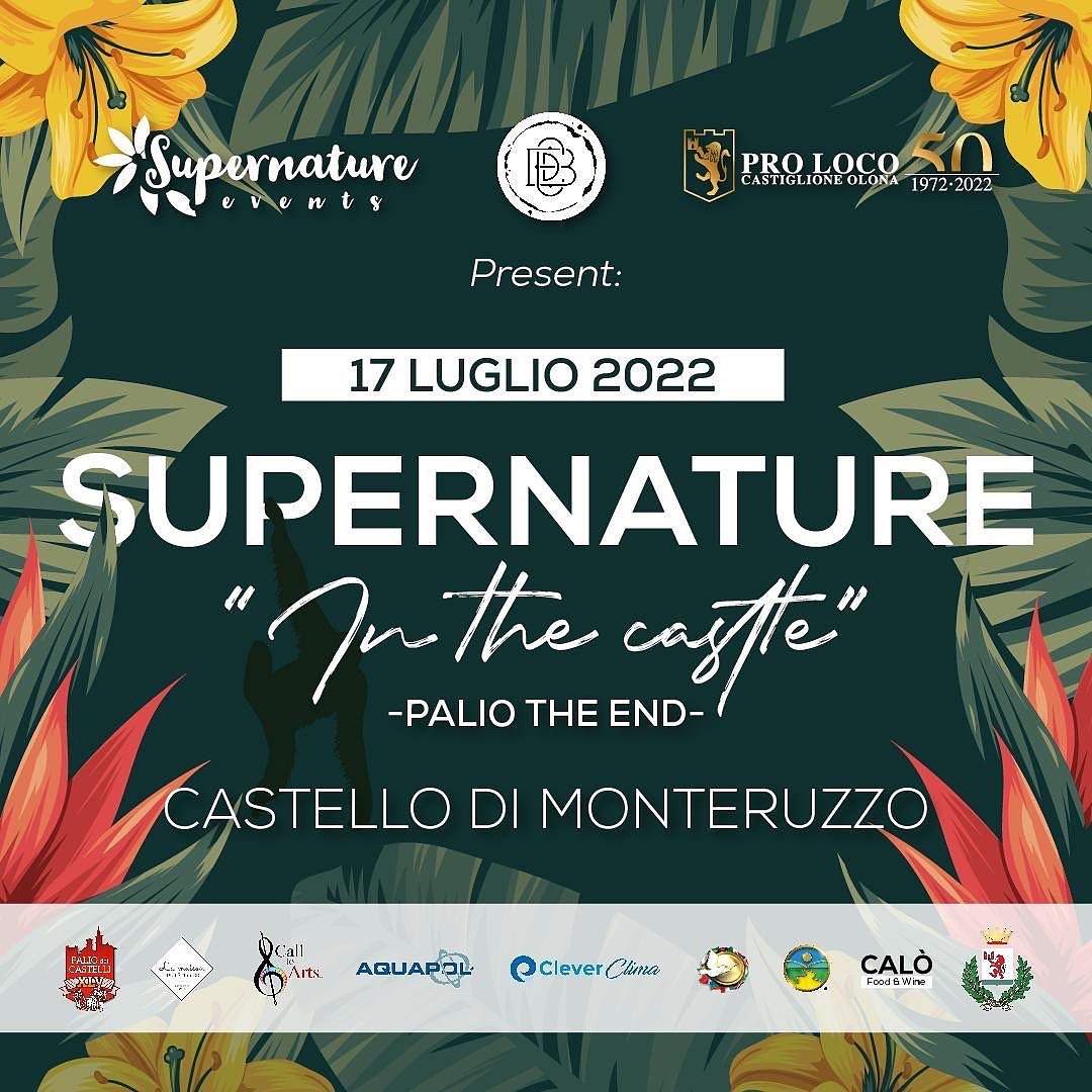 SUPERNATURE - In the Castle (Palio The End) with Raffa FL (ElRow Music - Another Rhythm) - Página trasera