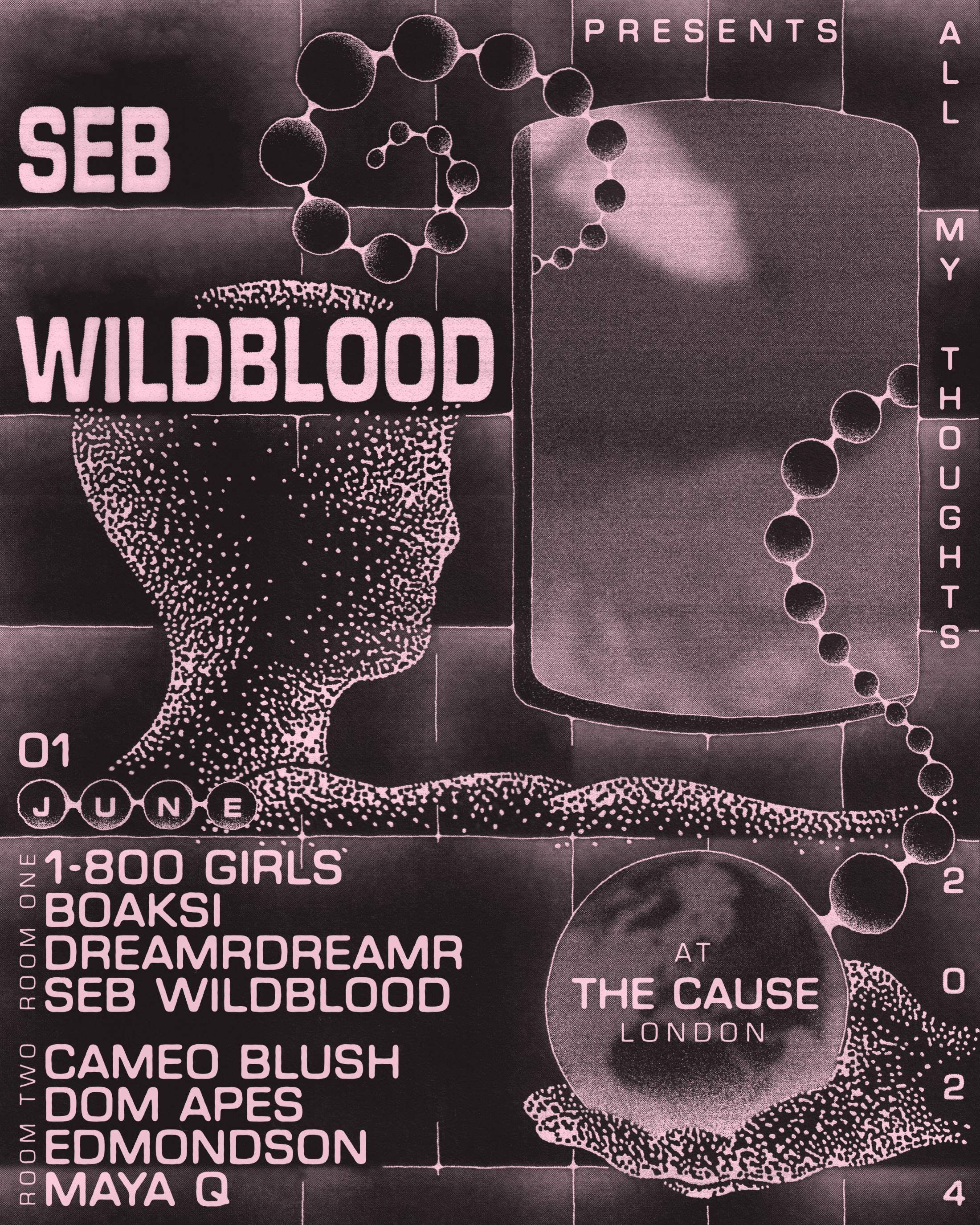 Seb Wildblood pres: all my thoughts with 1-800 GIRLS, Cameo Blush, Maya Q, Dreamrdreamr  + more - Página frontal
