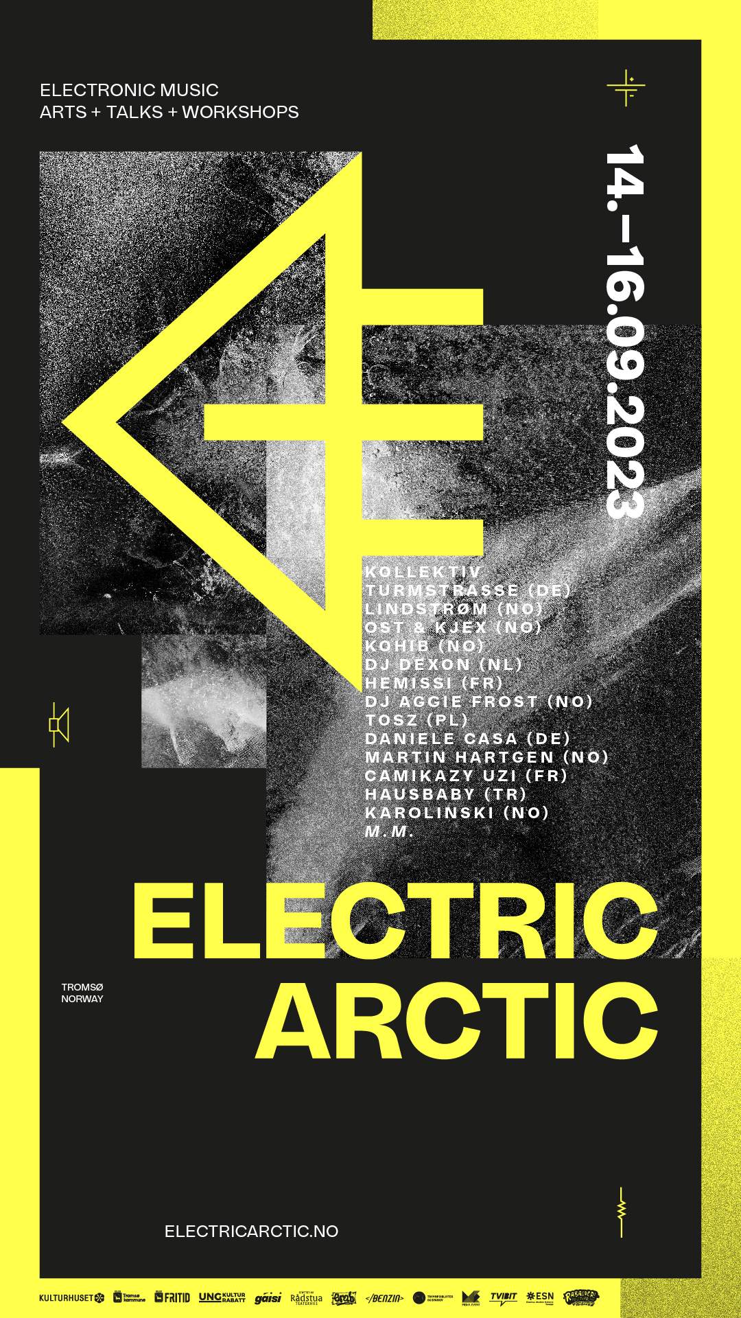 Electric Arctic - フライヤー表