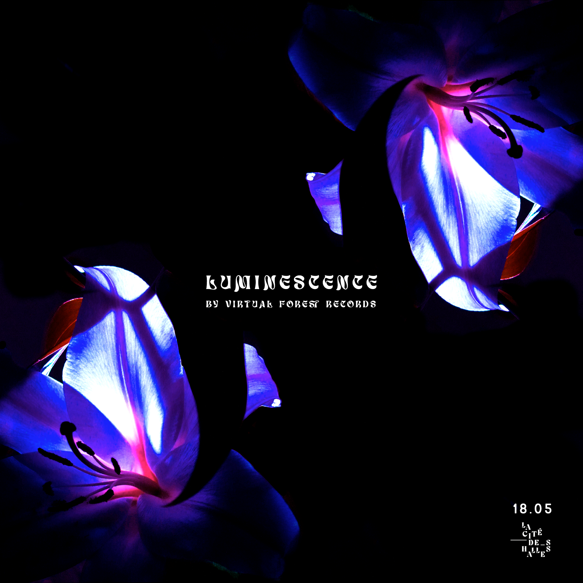 Luminescence ✵ Virtual Forest Records - フライヤー表