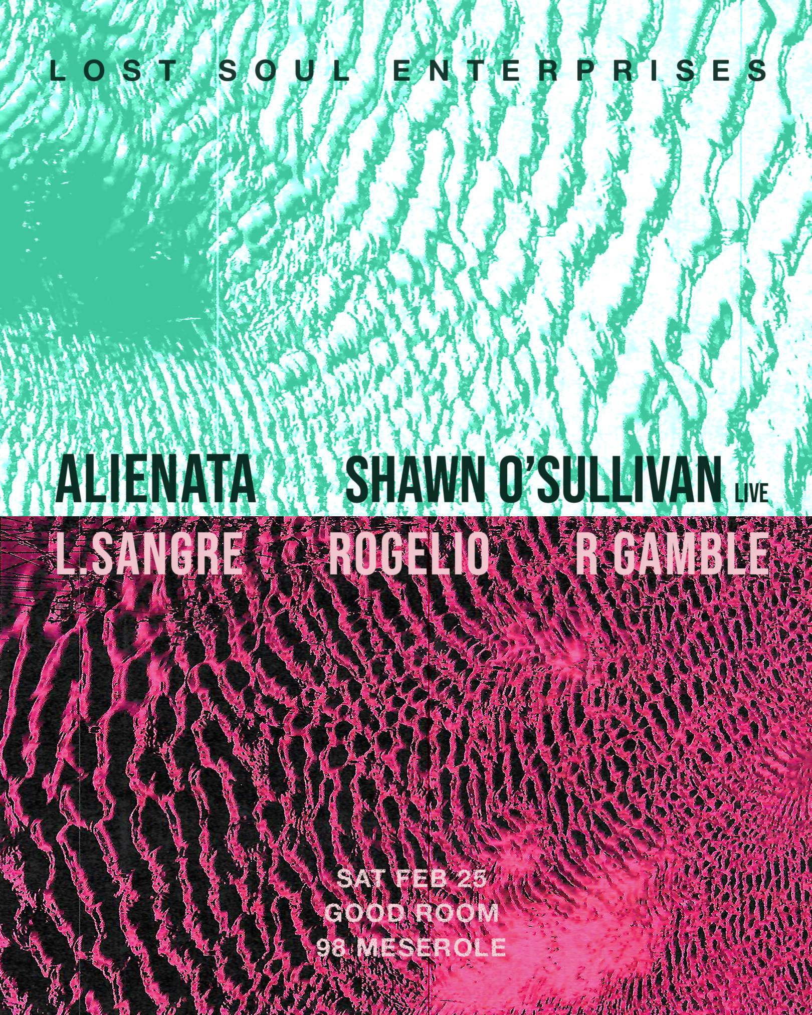 Lost Soul Enterprises ft Alienata, Shawn O'Sullivan (live), L.Sangre, Rogelio, R Gamble - フライヤー表