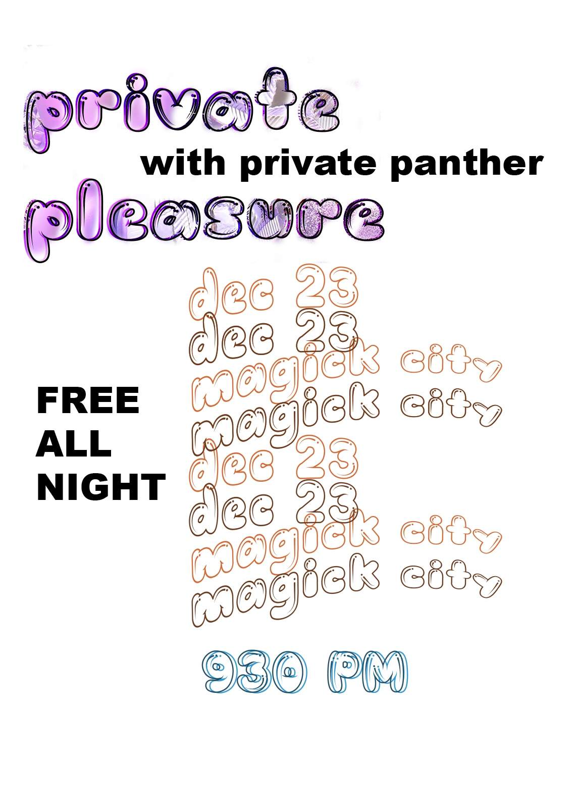 Private Pleasure - フライヤー表