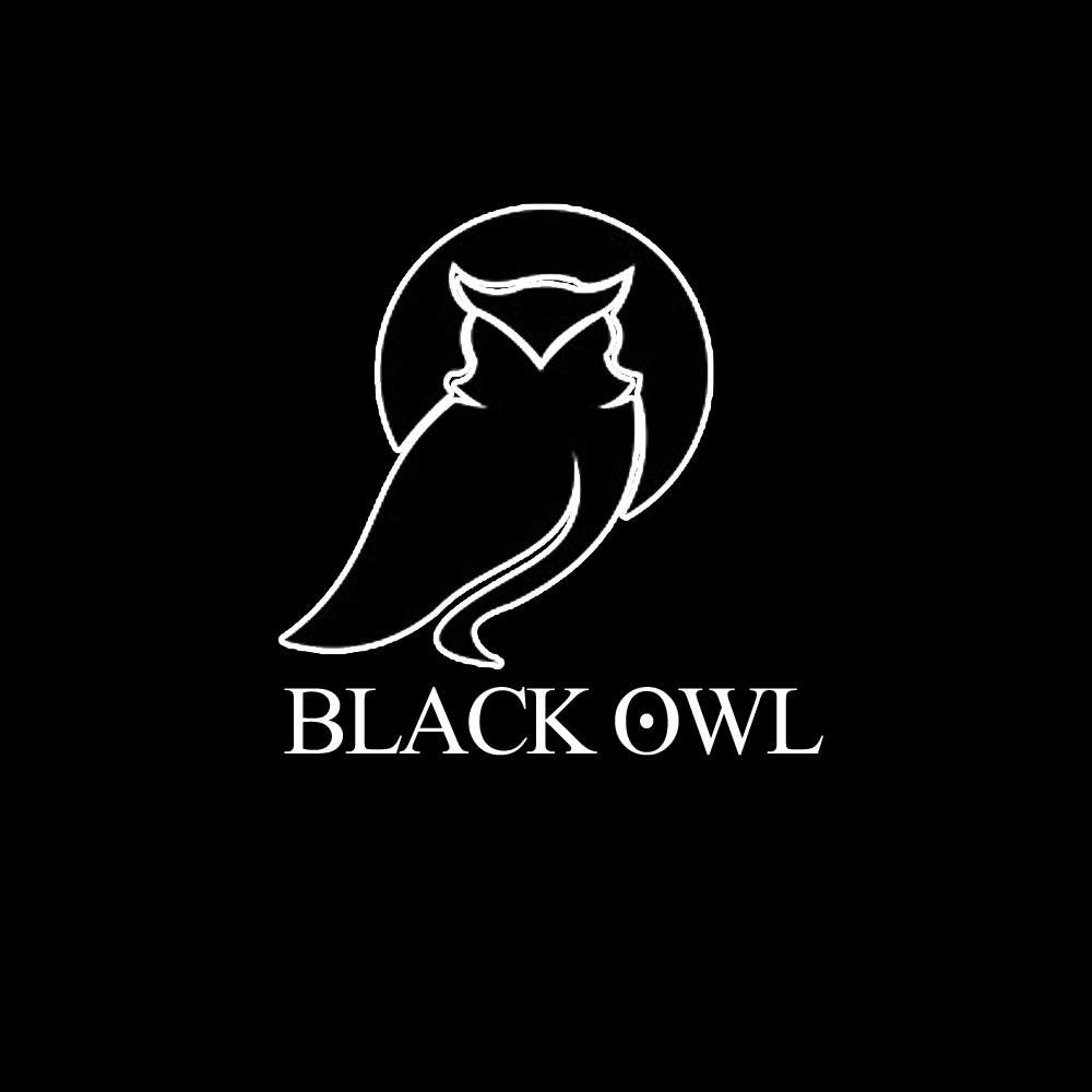 Sonntagsklub Showcase Black Owl Records - フライヤー表