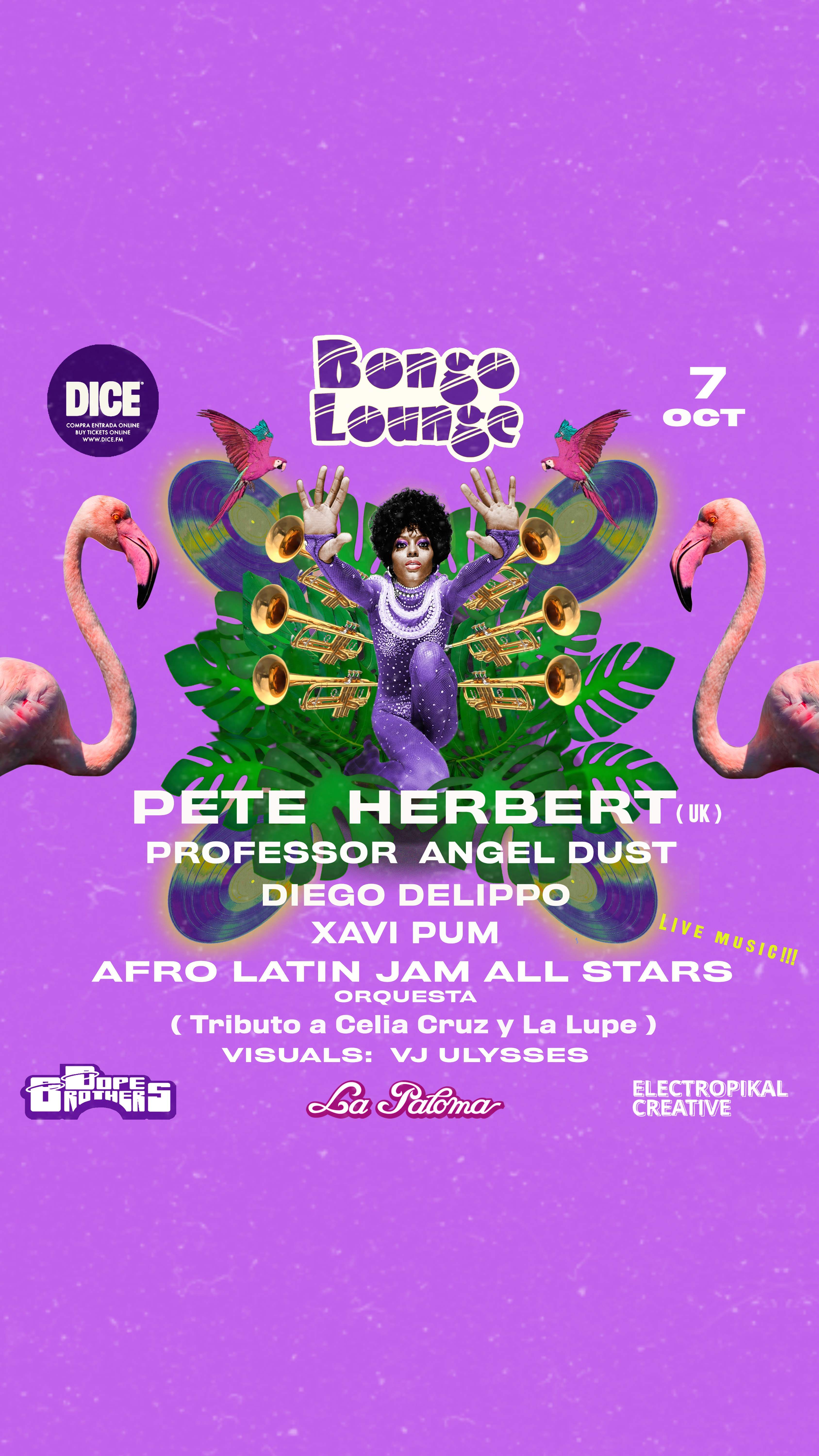 Bongo Lounge with Pete Herbert, Afro Latin Jam Allstars - Página frontal