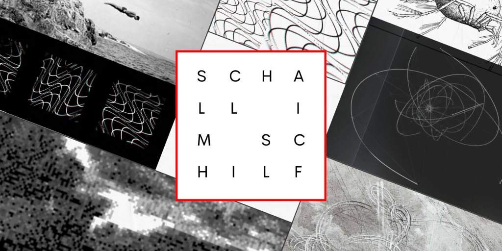 Schall im Schilf Festival 2019 - フライヤー表