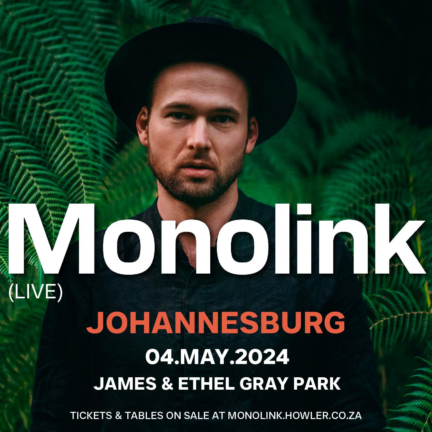 Monolink Johannesburg - フライヤー表