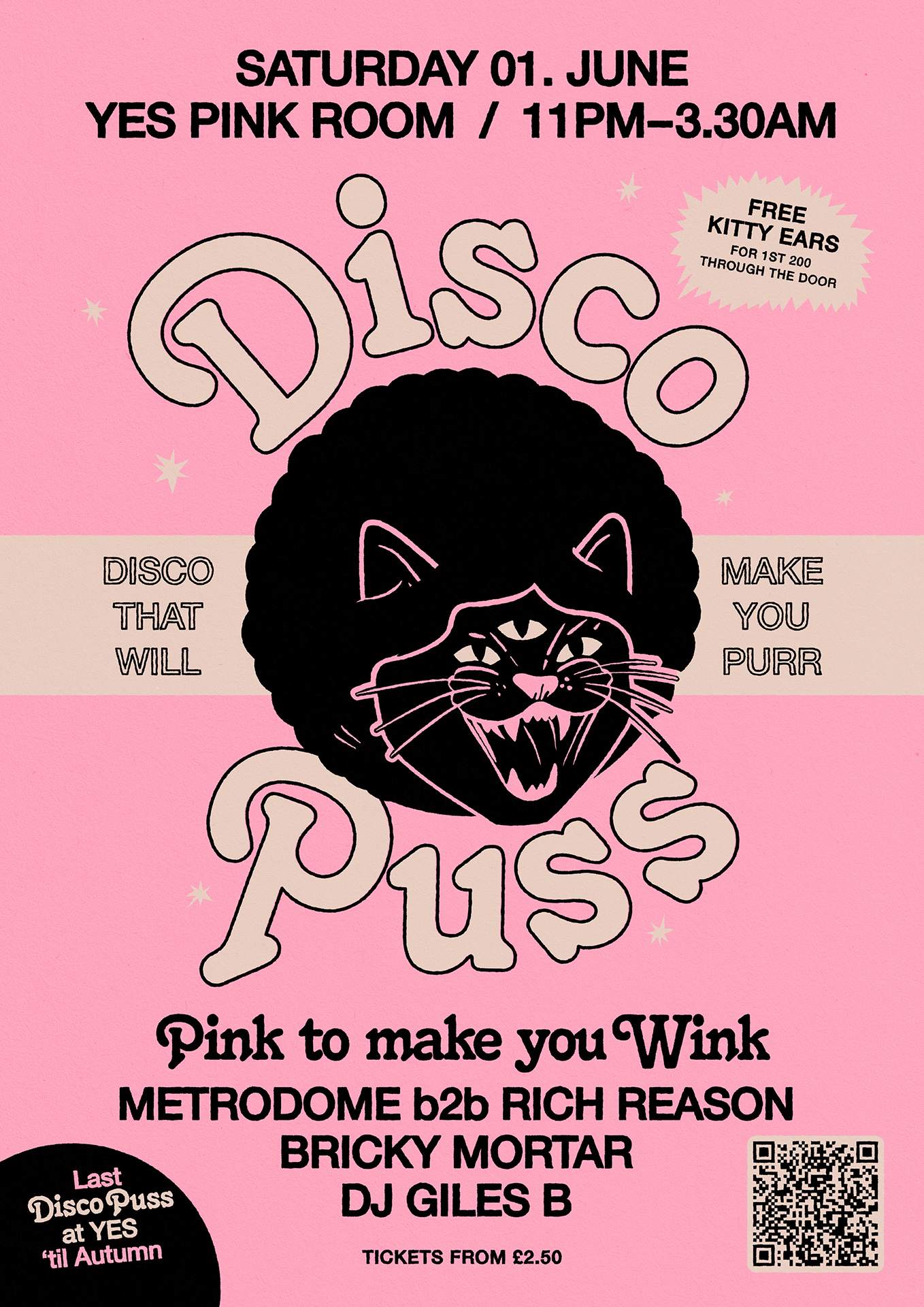 DISCO PUSS: 'Pink to make you Wink' - フライヤー裏