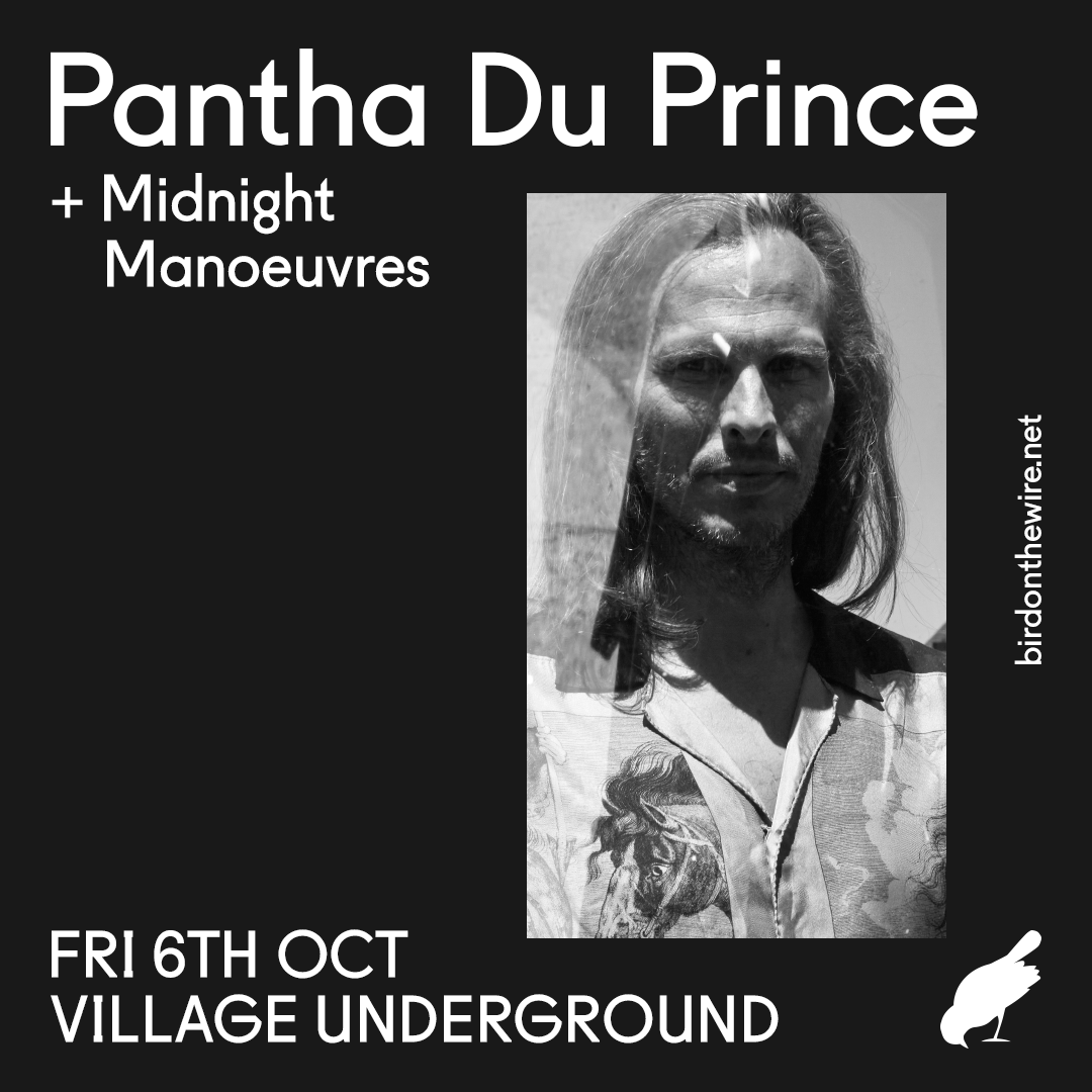 Pantha Du Prince - フライヤー表