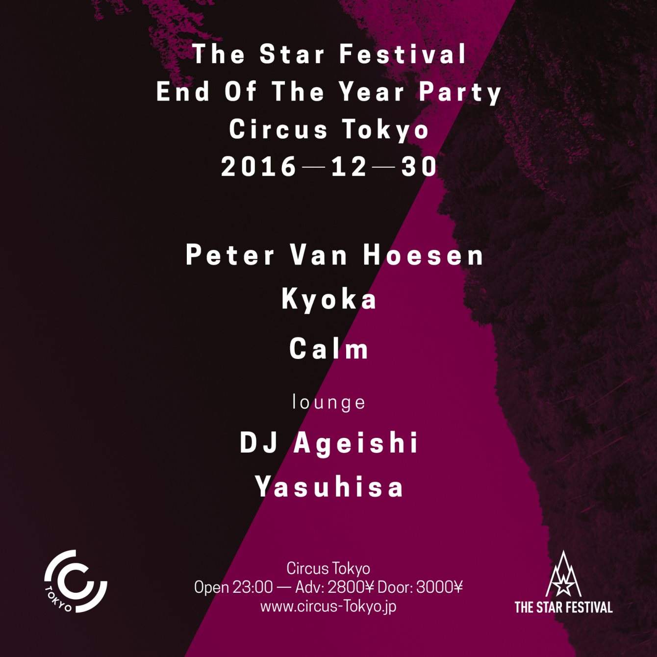 The Star Festival Year End Party - フライヤー表