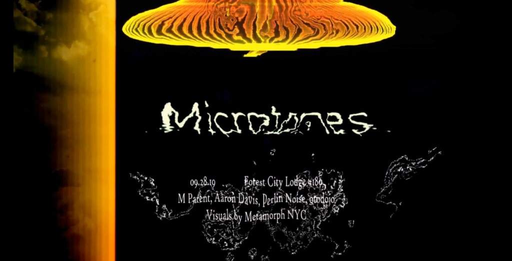 Microtones x Acid Camp - フライヤー表