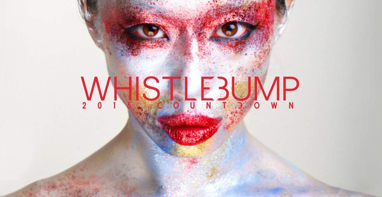 Whistlebump Countdown 2015 - フライヤー表