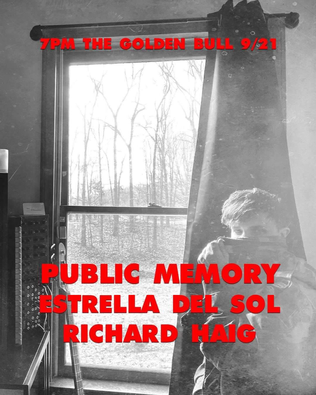 Public Memory, Estrella Del Sol, Richard Haig LIVE - フライヤー表