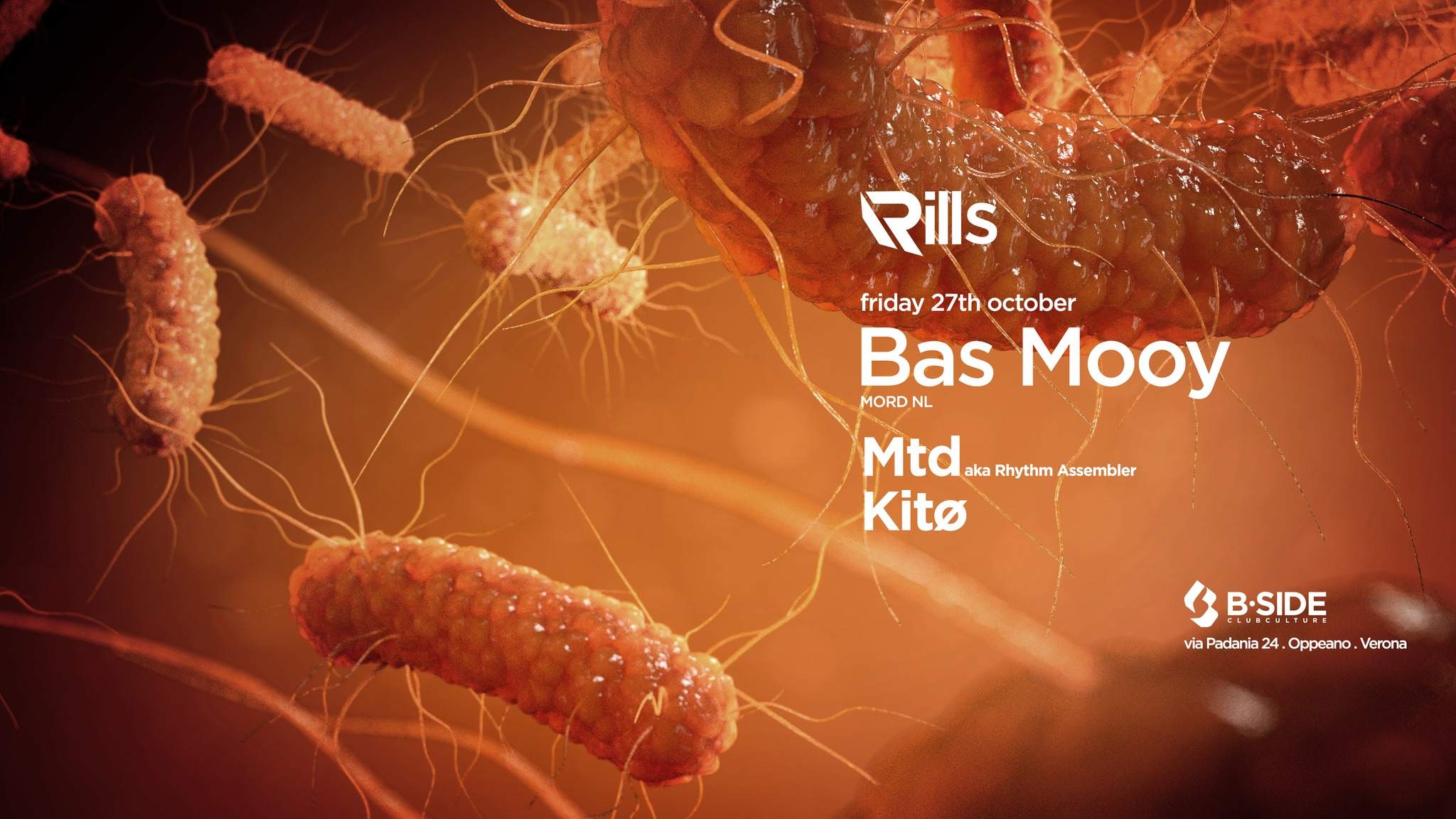 rills: Bas Mooy - Kito - MTD - Página frontal