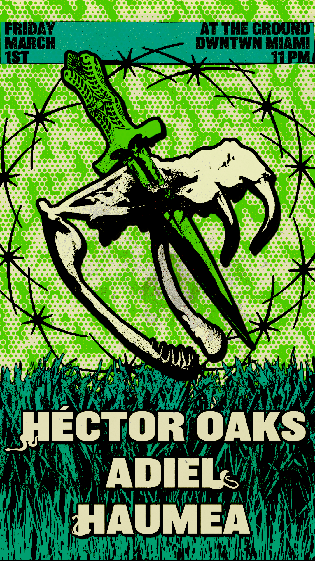 Héctor Oaks - フライヤー表
