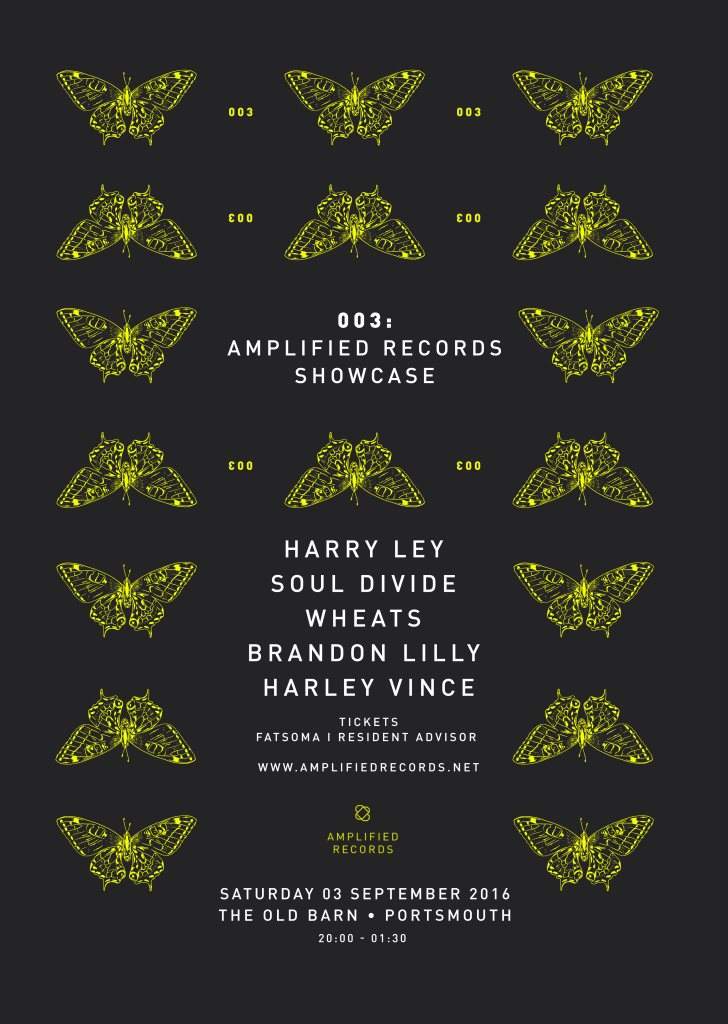 003: Amplified Records Showcase - フライヤー表