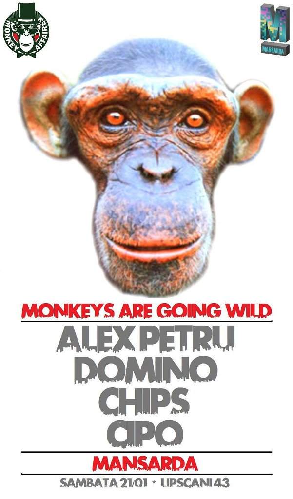 Monkeys Are Going Wild - Página frontal