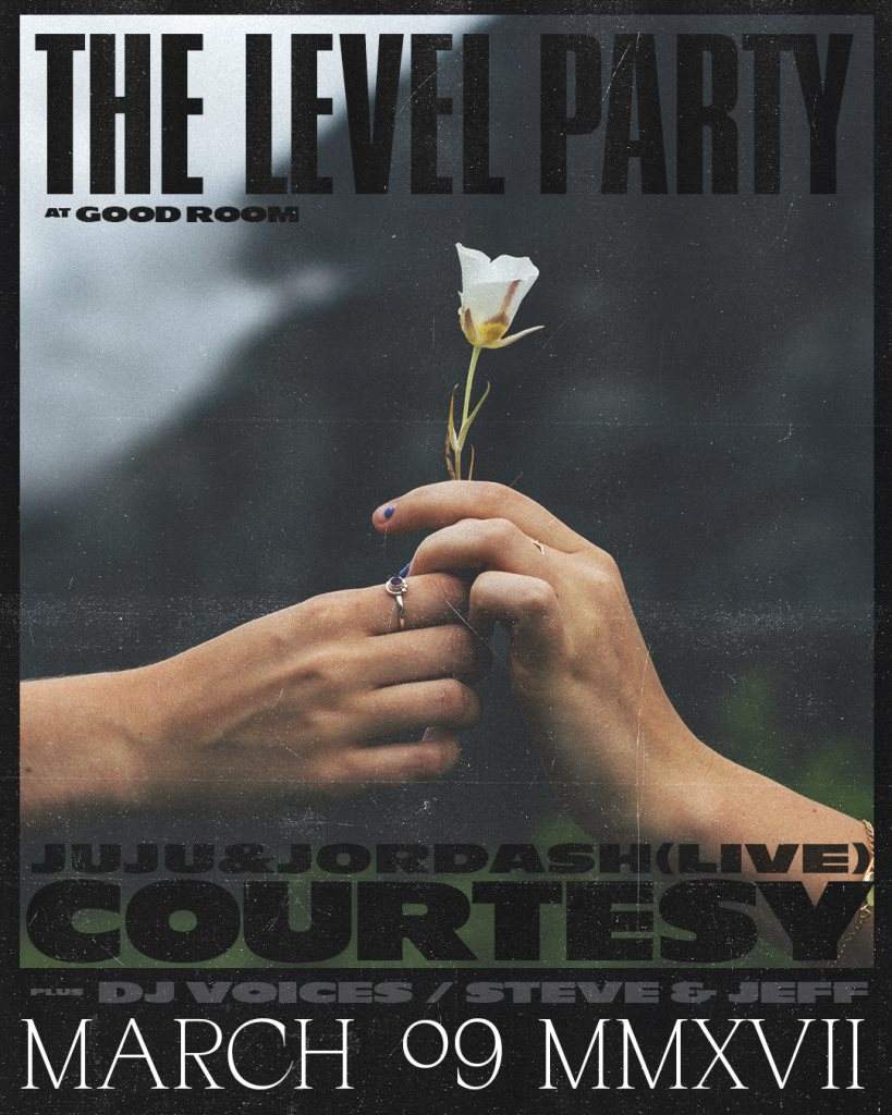 The Level Party: Courtesy, DJ Voices, Steve & Jeff - Página frontal