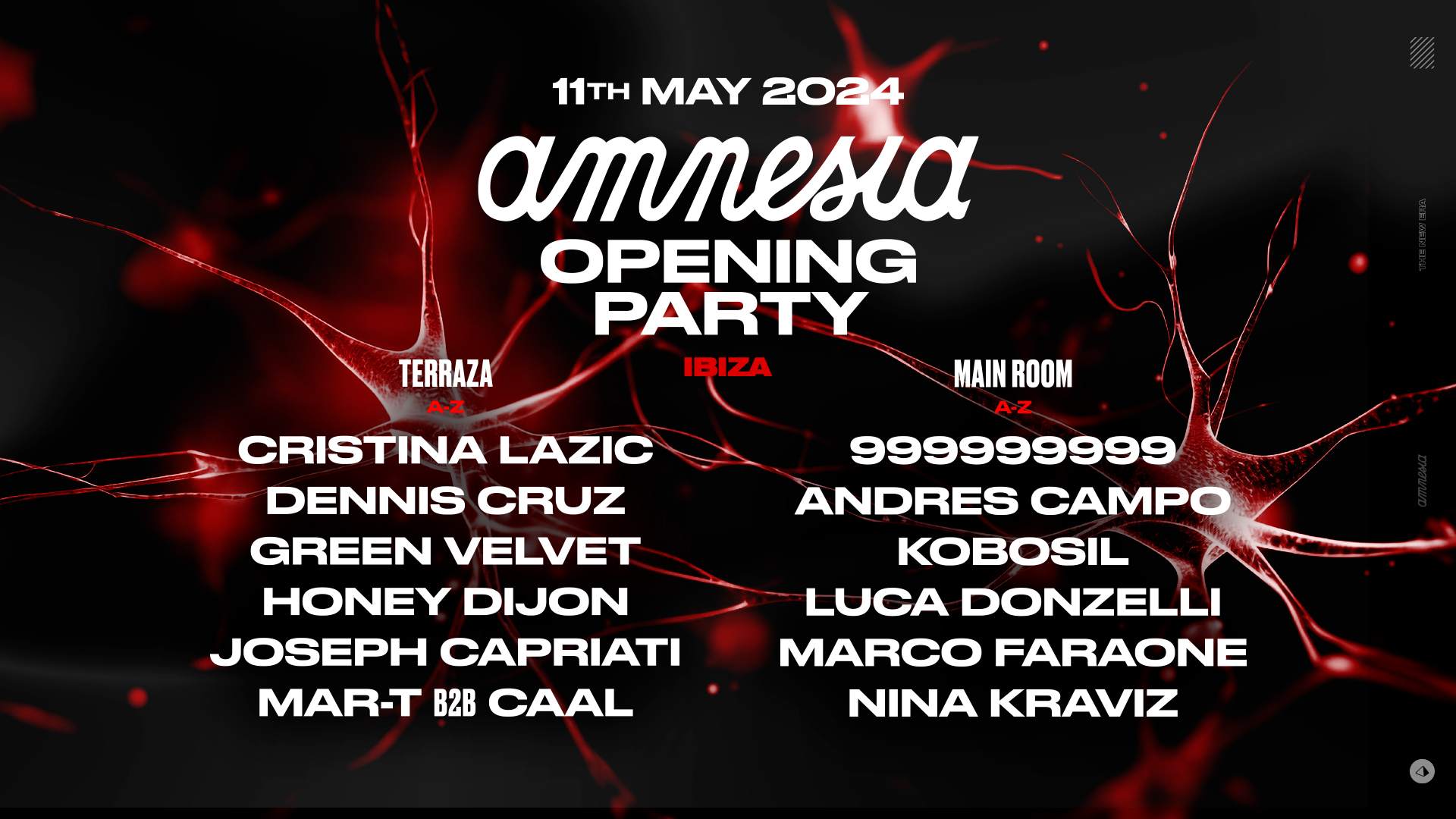 Amnesia Opening Party - Página frontal