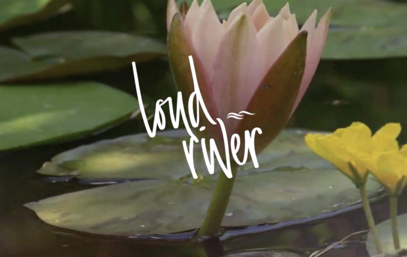 Loud River - Jardines Blue Velvet - フライヤー表
