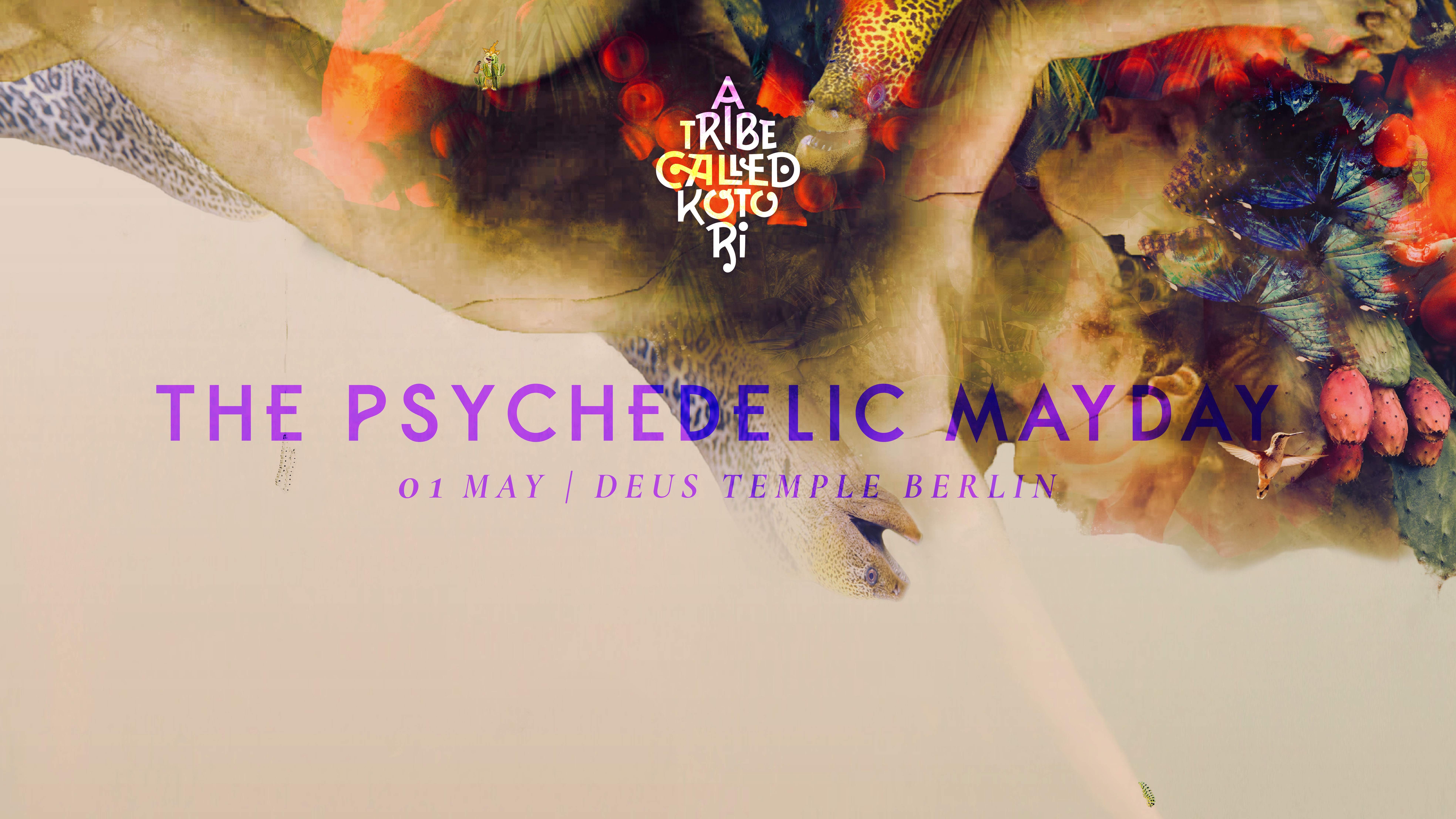 A Tribe Called Kotori - The Psychedelic Mayday Open Air - フライヤー裏