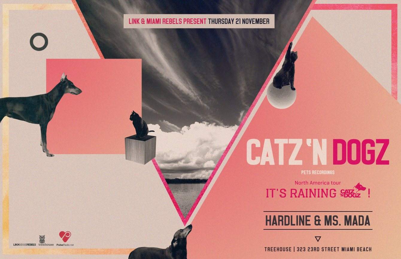 Link & Miami Rebels present Catz 'N Dogz 'It's Raining Catz 'N Dogz Tour - Página frontal