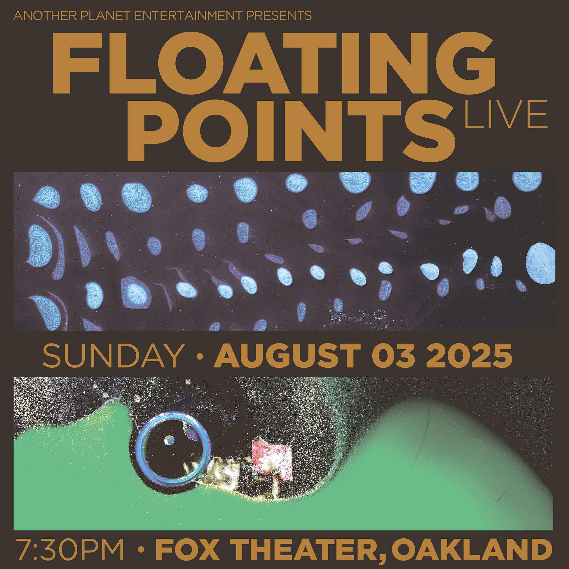 Floating Points (Live) at Fox Theater, San Francisco/Oakland