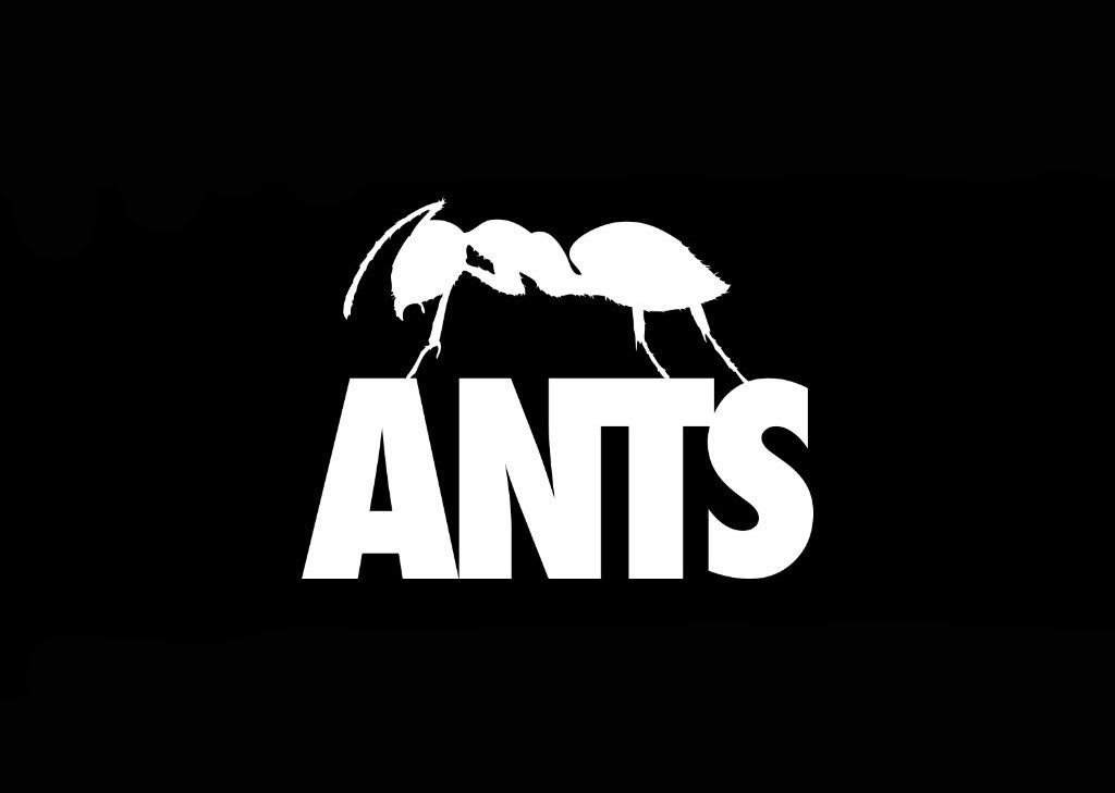 ANTS Pre-Season party - Flyer front