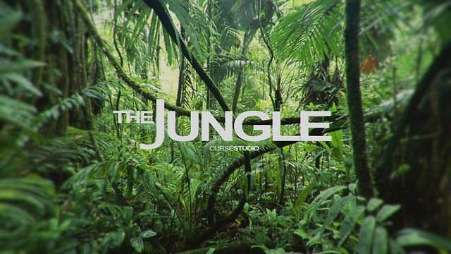 The Jungle - Página frontal