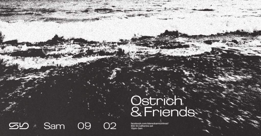 Ostrich & Friends - Página frontal