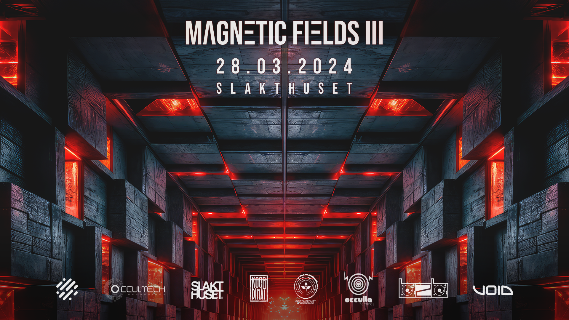 Magnetic Fields (Psy - Techno - Drum & Bass) - フライヤー表