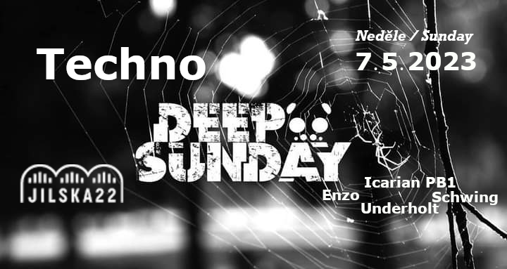 Techno Deep Sunday - Página trasera