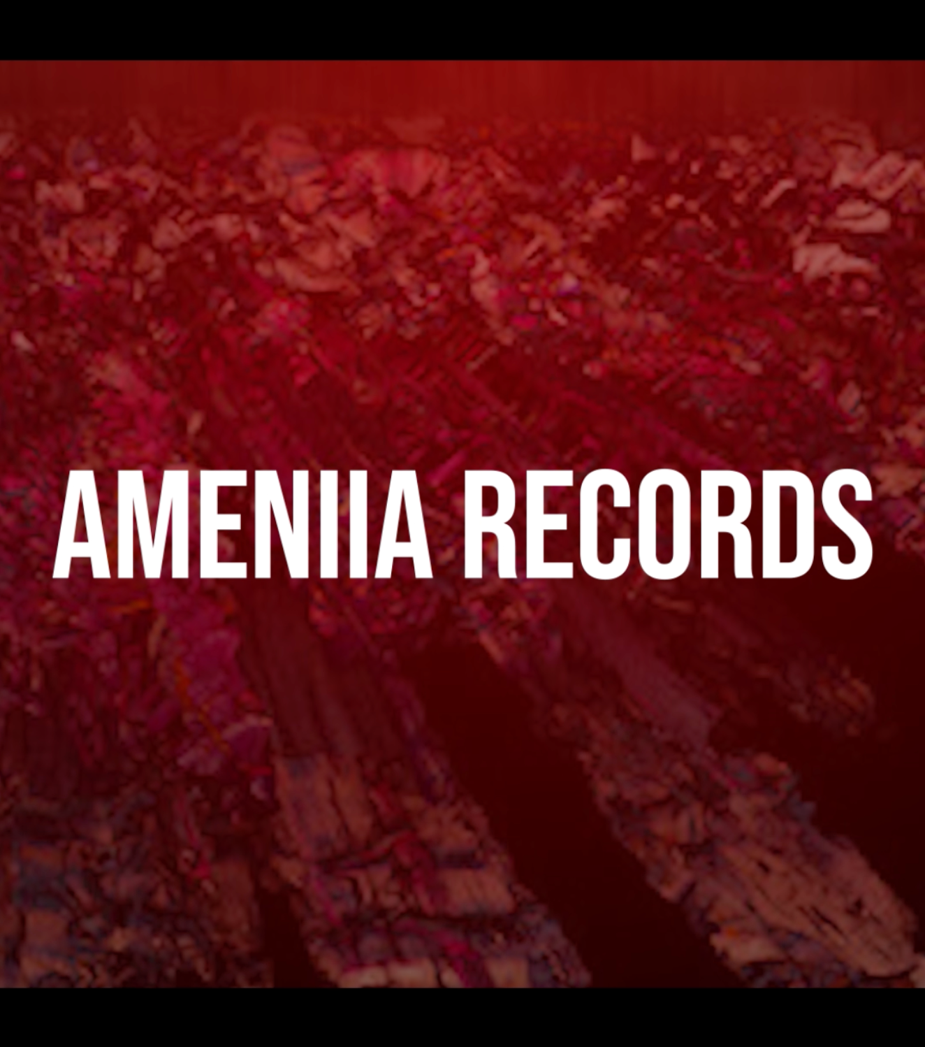 10YEARS OF AMENIIA RECORDS - Página frontal