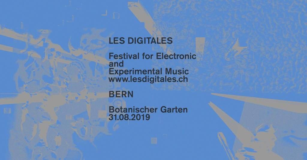 Les Digitales Bern - フライヤー表