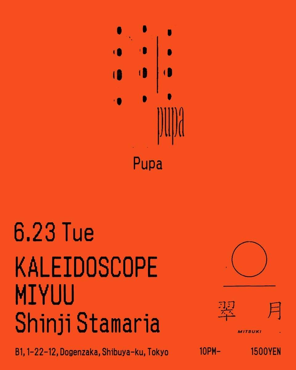 Pupa at Mitsuki, Tokyo
