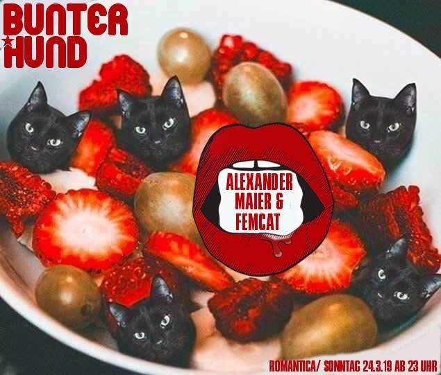 Bunter Hund mit Alexander Maier & Femcat - フライヤー表
