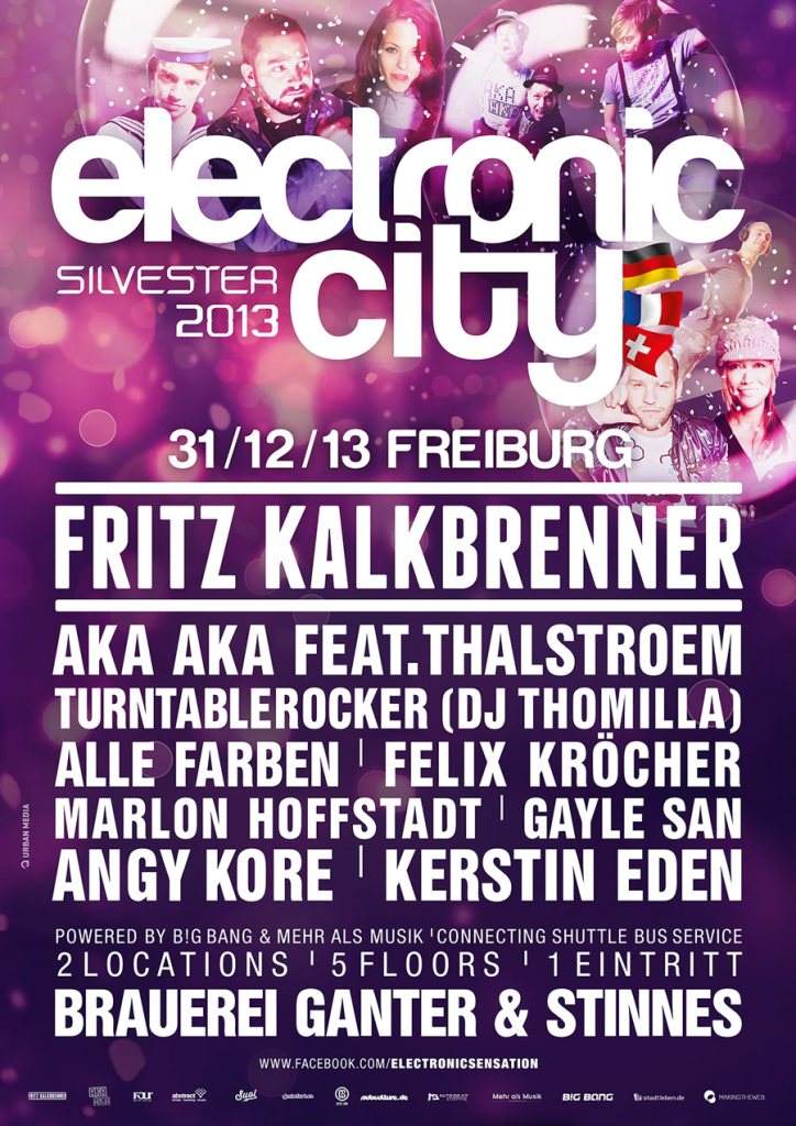 Electronic City 2013! - フライヤー表