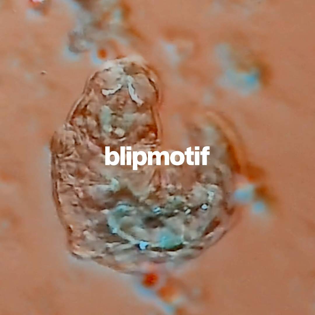 blipmotif - Página frontal