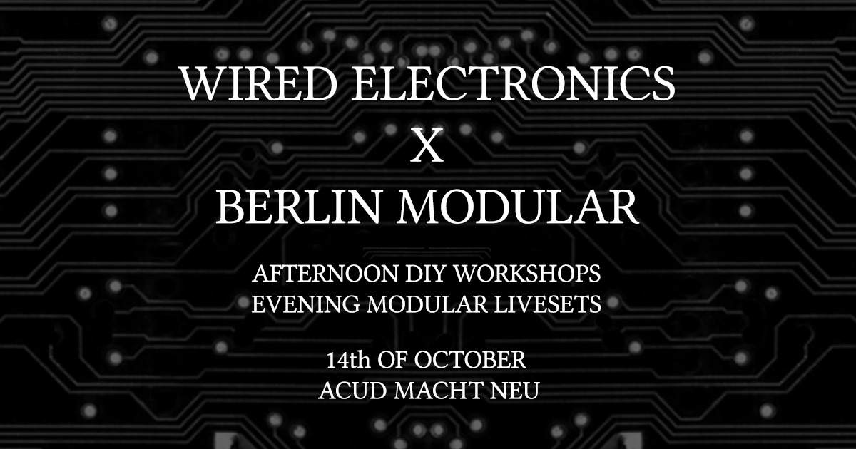 Wired Electronics x Berlin Modular . Synthesizer Festival with Live Sets & DIY Workshops - フライヤー裏