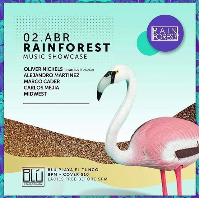 Rainforest Music Showcase - フライヤー表