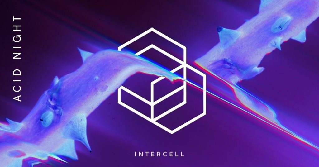 Intercell - Acid Night 2020 - フライヤー表