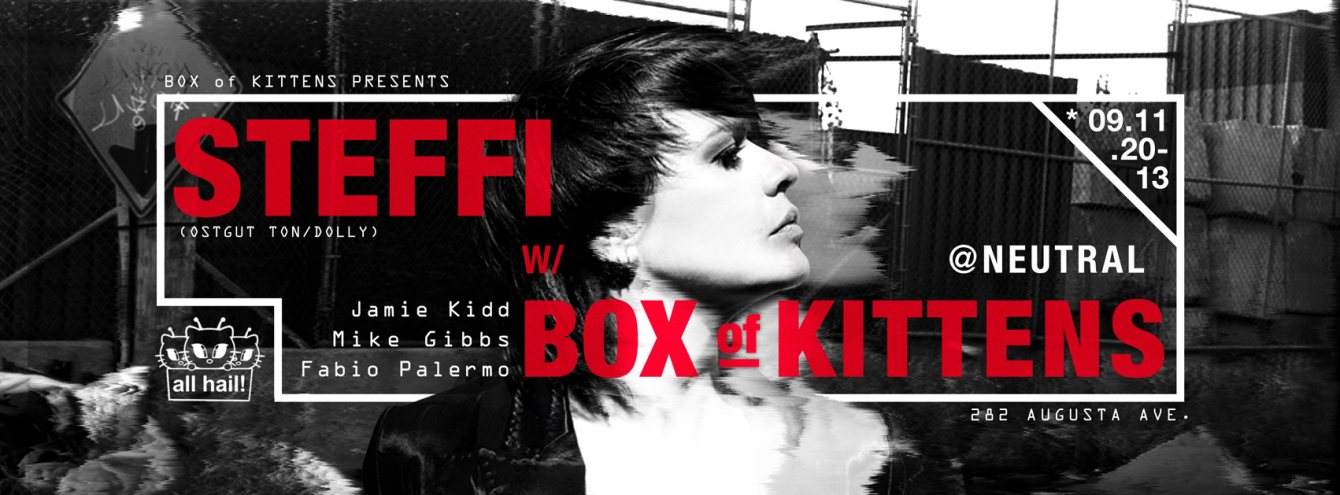 Box of Kittens present Steffi - Página frontal