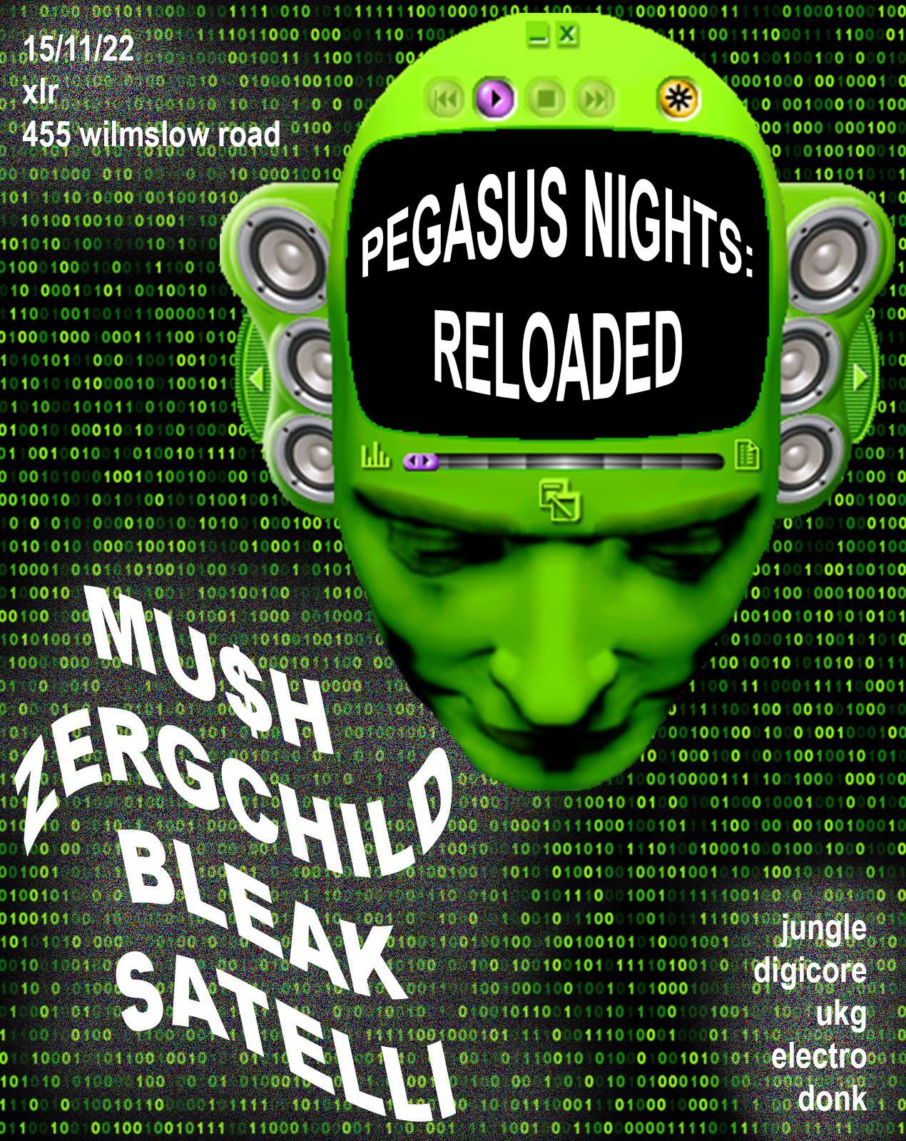 Pegasus Nights: Reloaded - Página frontal