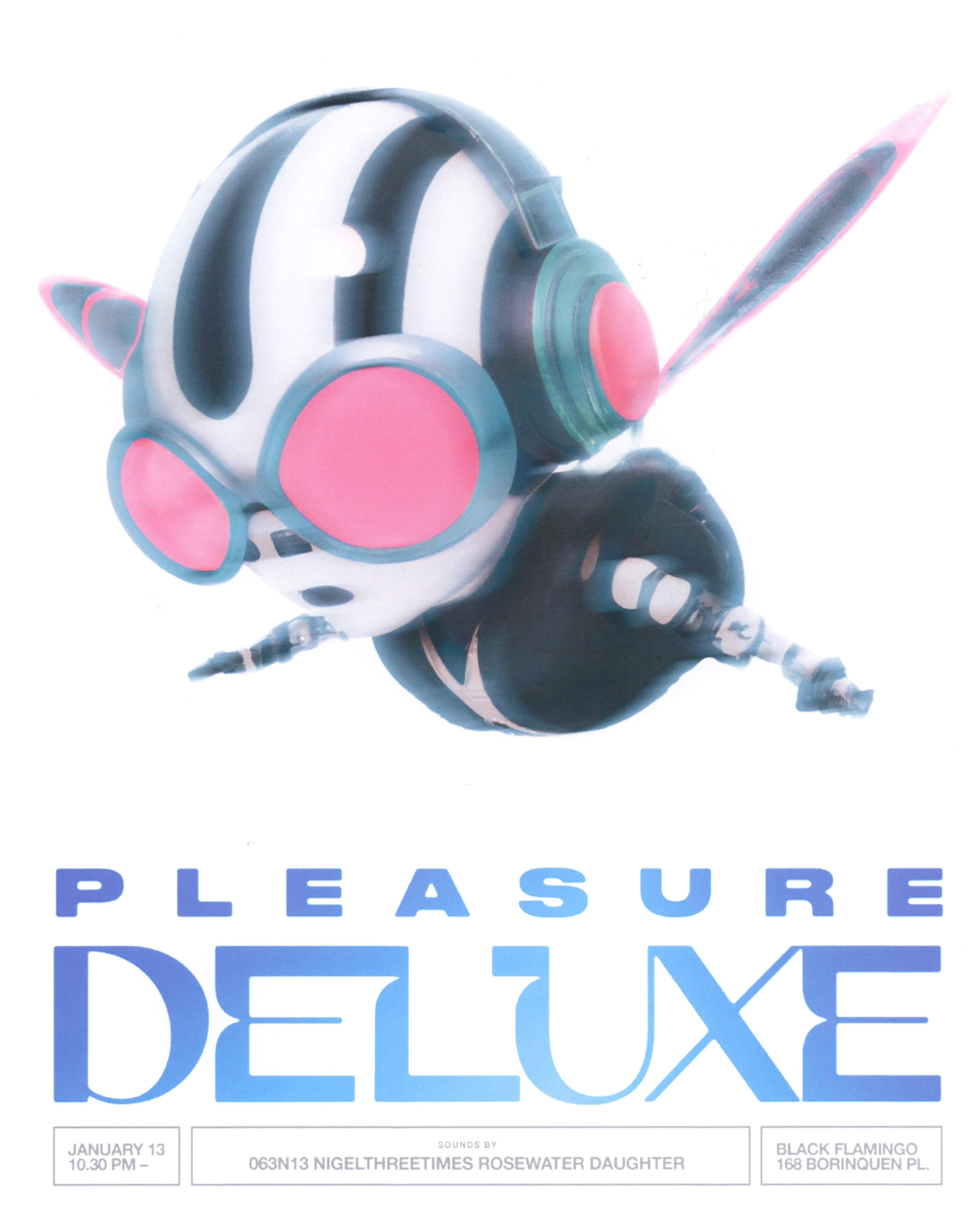 Pleasure Deluxe with NIGELTHREETIMES x Rosewater Daughter - フライヤー表