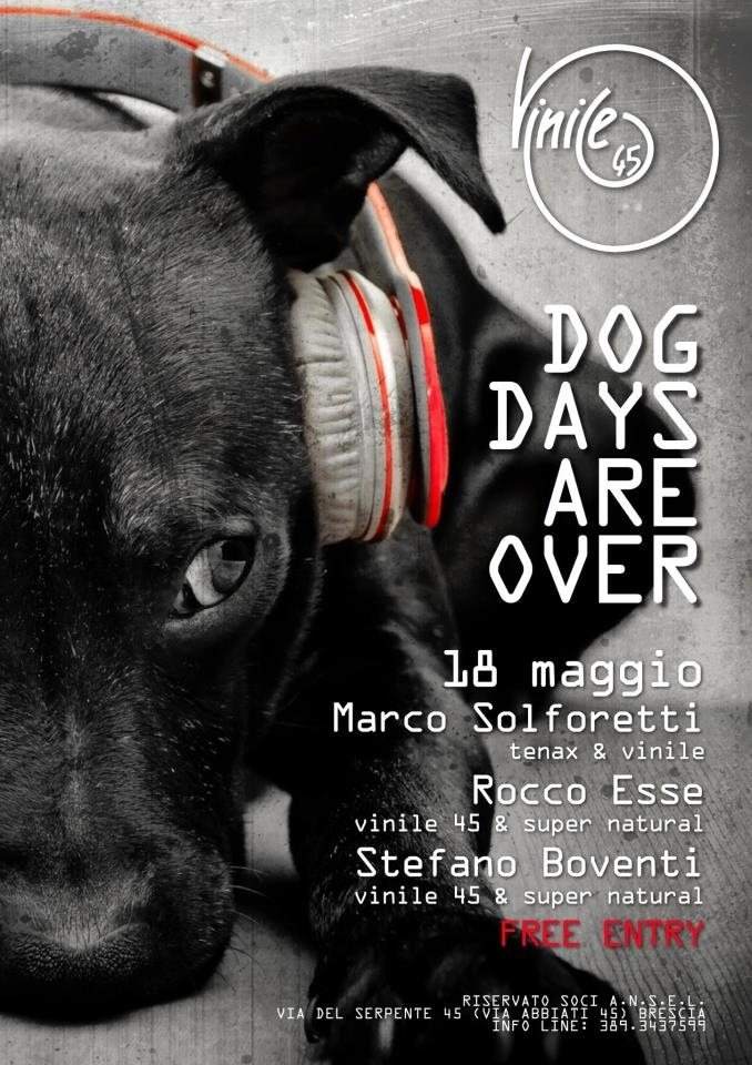 Dog Days Are Over - Página frontal